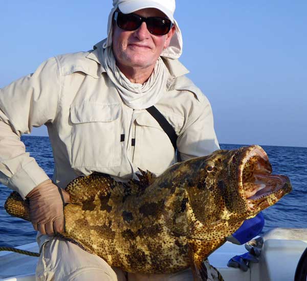 Ein schöner Grouper nahm den Stickbait